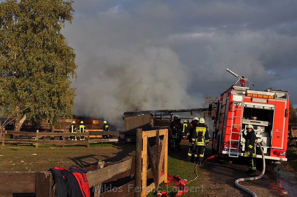 Brand Scheune Pferdehof Gingsterpfad Koeln Weidenpesch P003.JPG